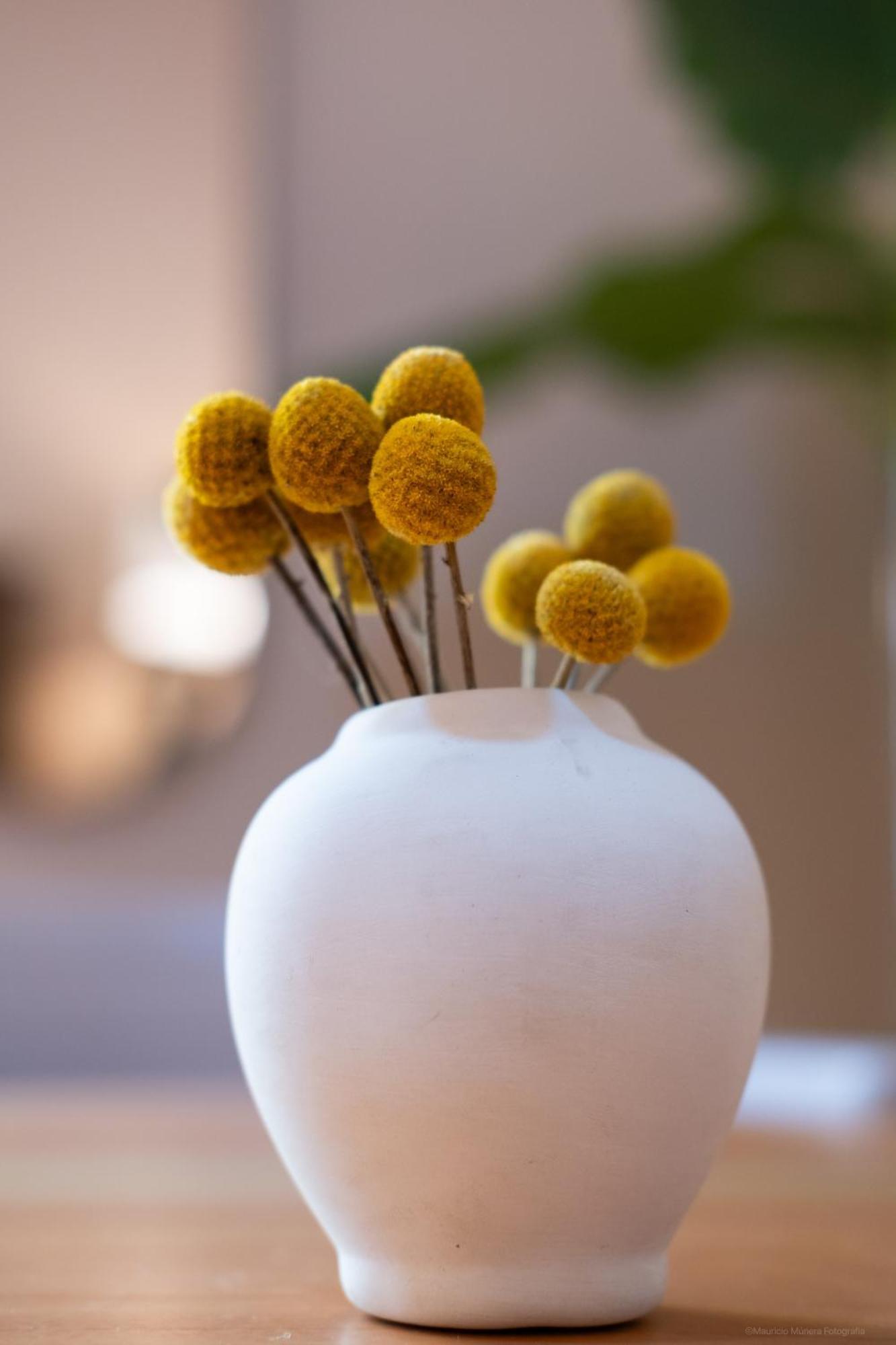 Casa Bustamante Hotel Boutique Cartagena エクステリア 写真